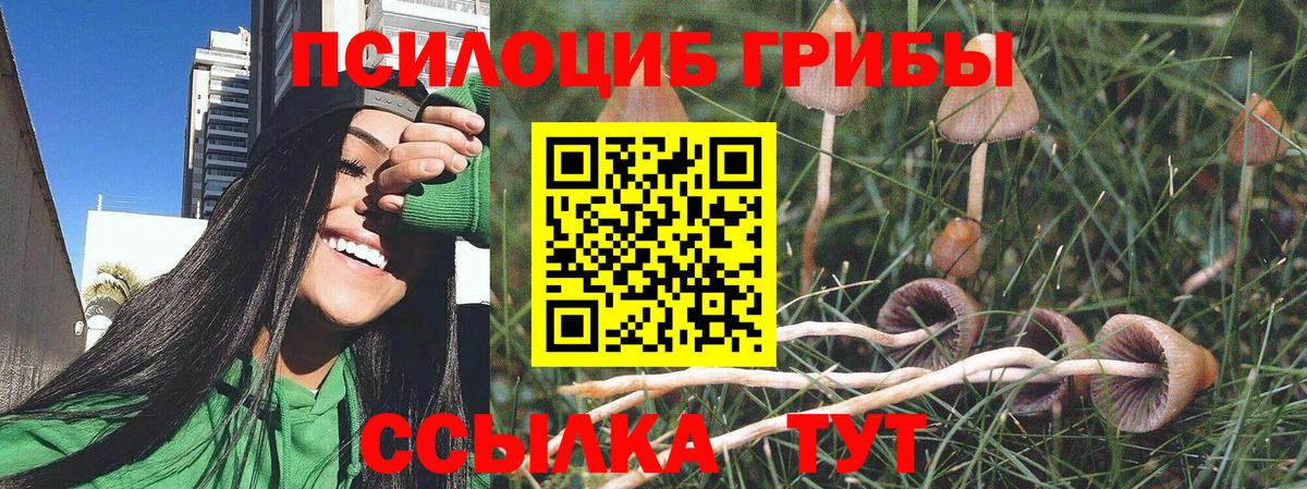 Псилоцибиновые грибы мухоморы  Вход с VPN  купить закладку  Балашиха 